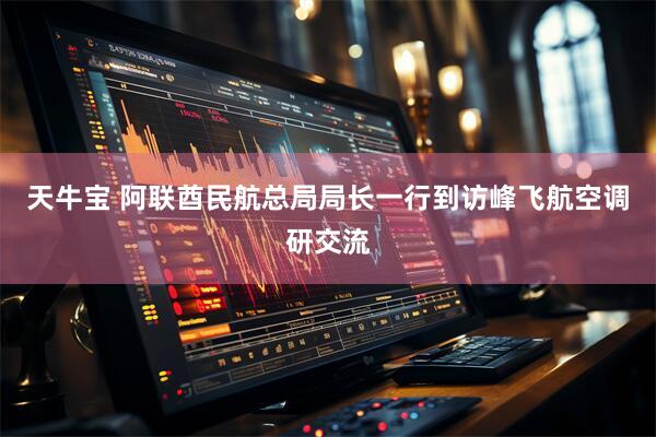 天牛宝 阿联酋民航总局局长一行到访峰飞航空调研交流