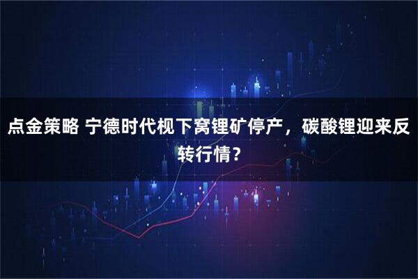 点金策略 宁德时代枧下窝锂矿停产，碳酸锂迎来反转行情？